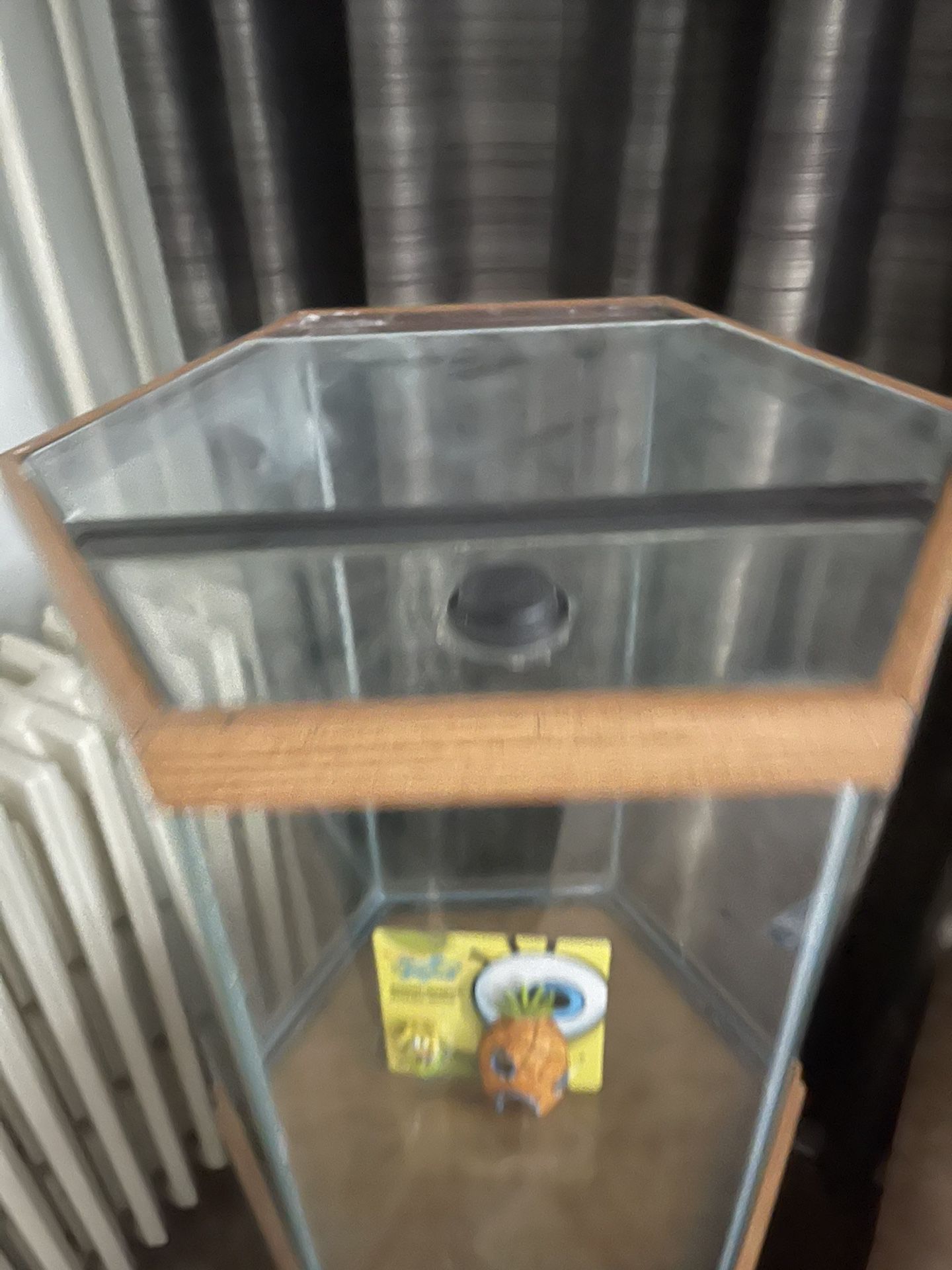 35 Gallon Fish Tank With Stand And  Lid 