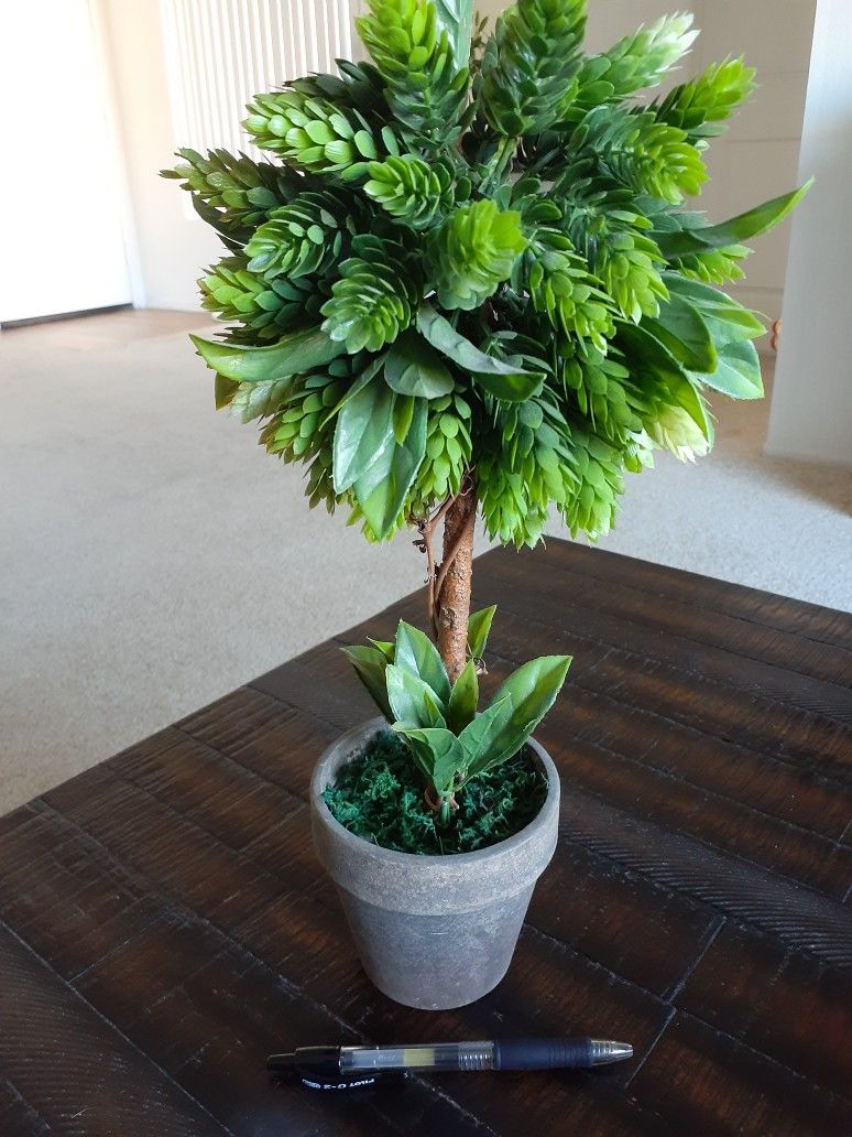 Fake Plant