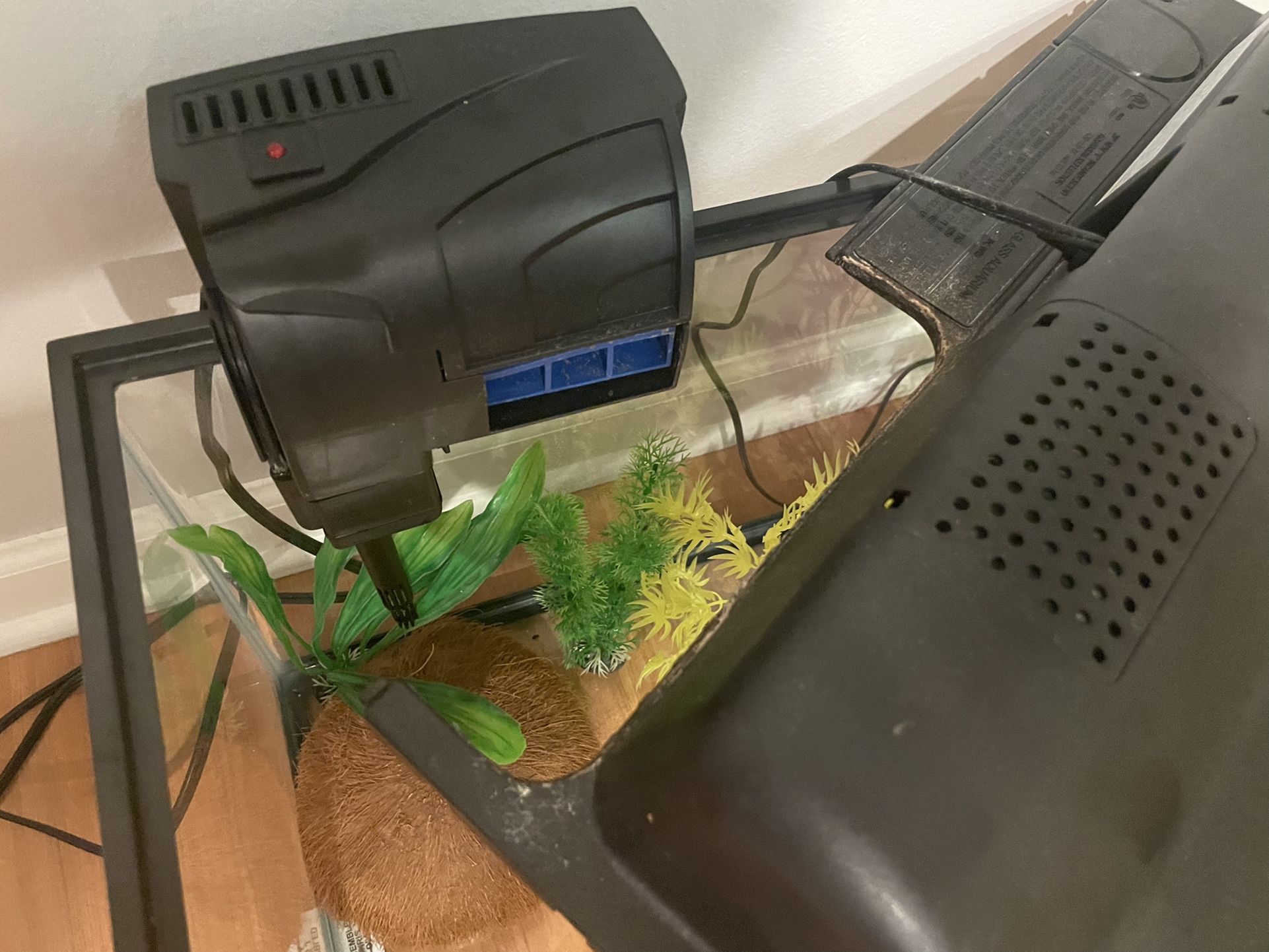 10 Gal Tank