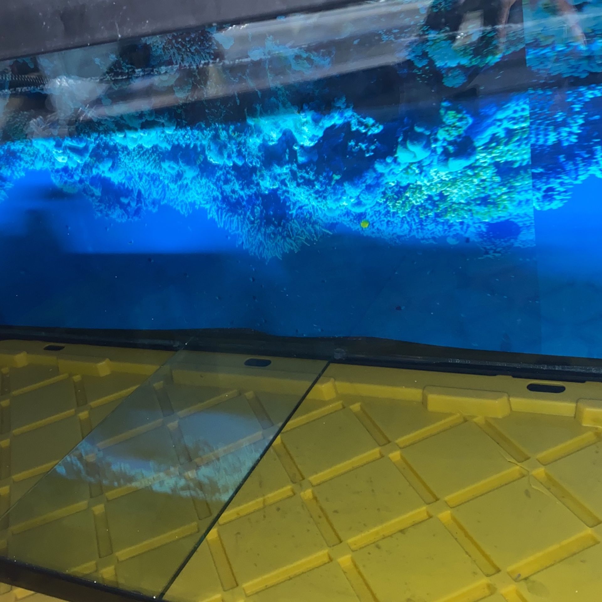 75 Gallon Fish Tank And The Stand $ 320
