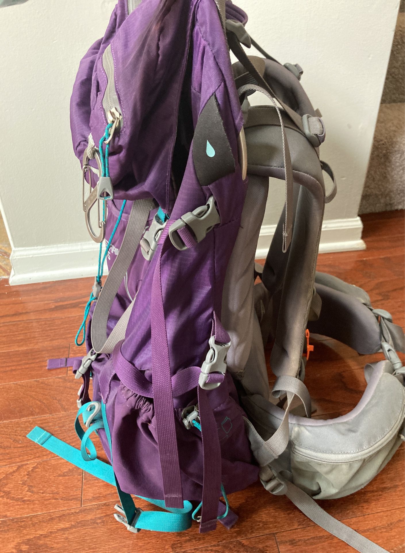 Women’s Purple REI Crestrail 65 Liter Back Pack For BackCountry Hiking 