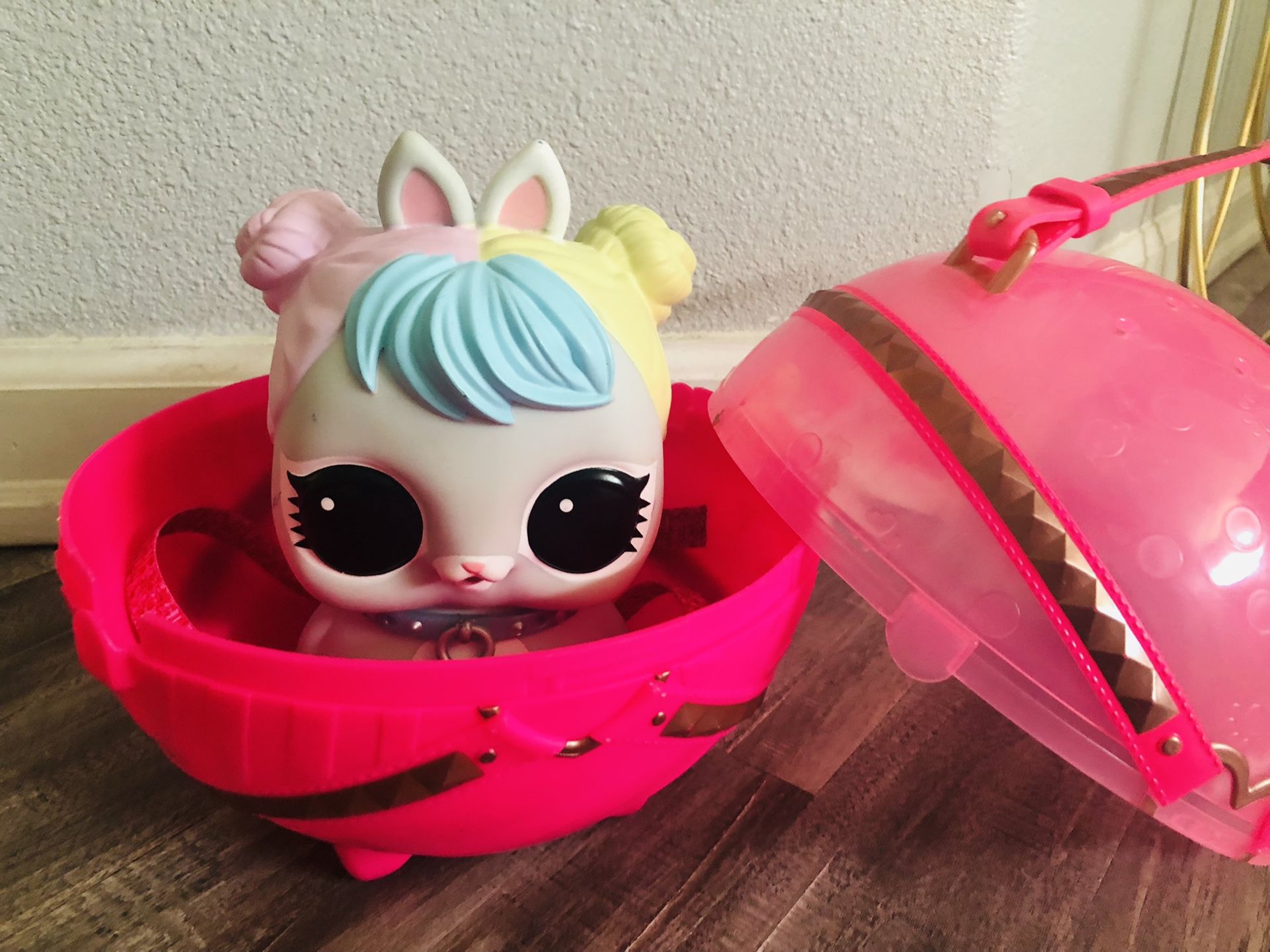 Lol!! Pet Backpack