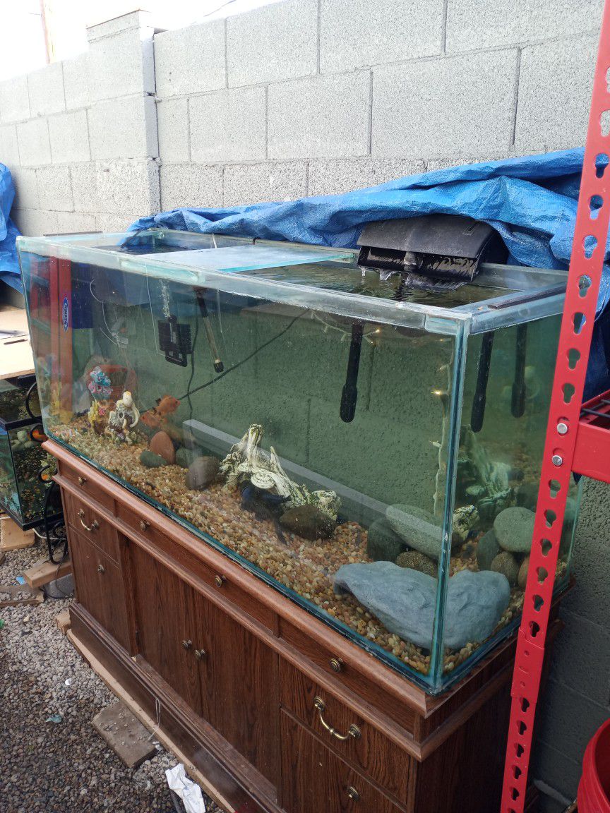 120 Gallon Fish Tank Aquarium With Stand And More