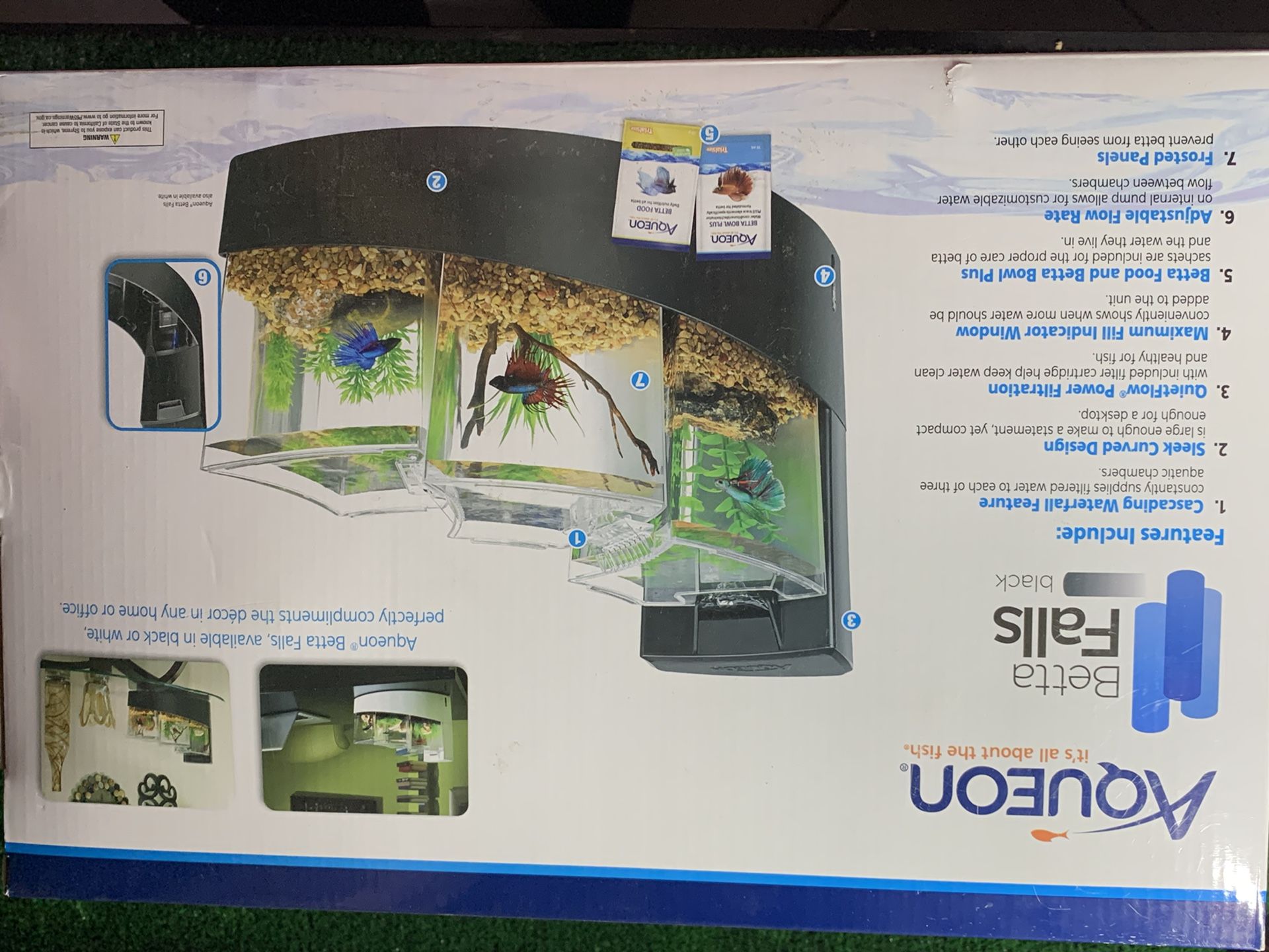 Beta Fish Tank