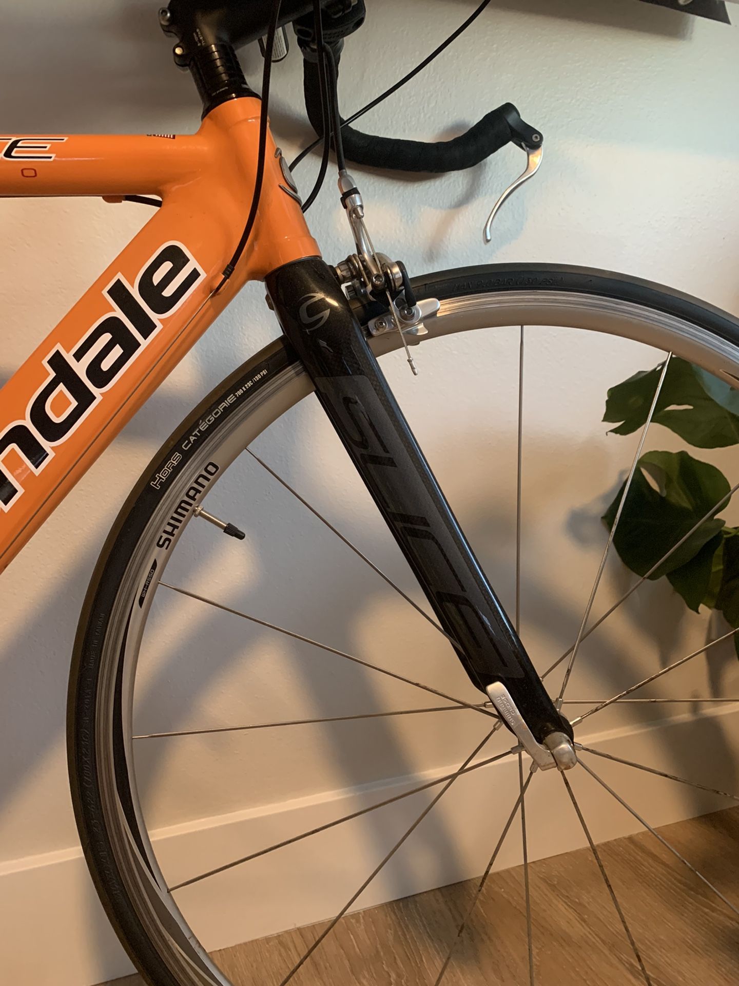 Cannondale 54