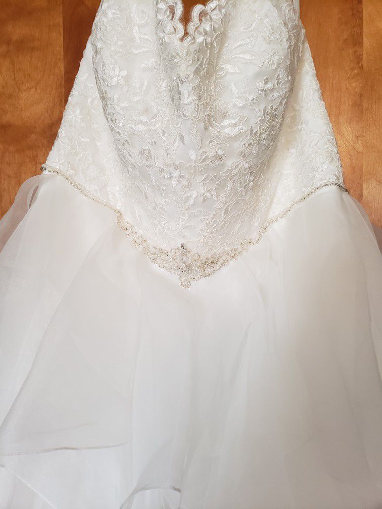 David's Bridal Plus Size Wedding And Reception Gowns 