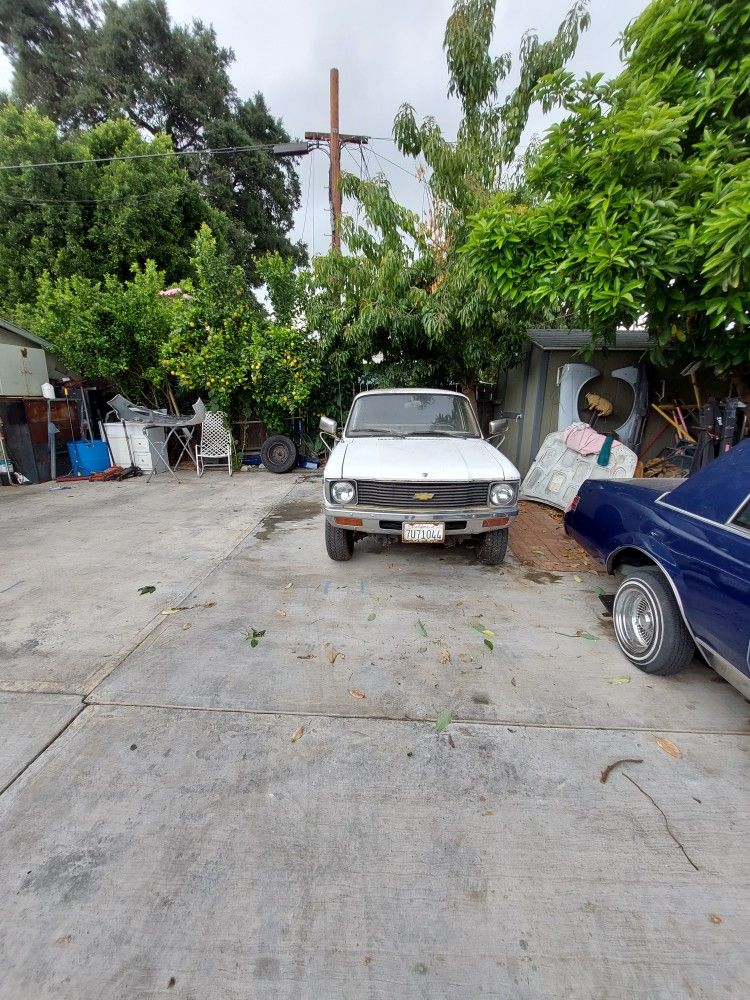1979 Chevrolet Luv