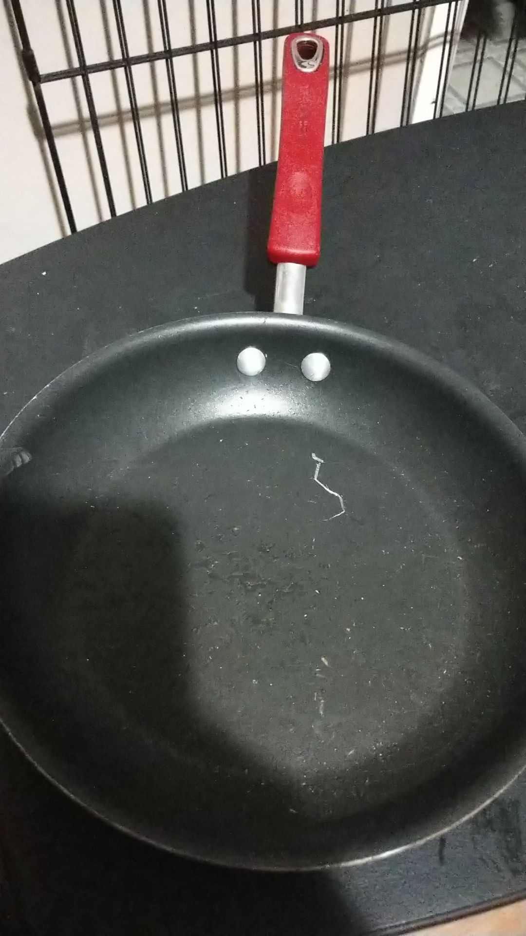 10 inch pan