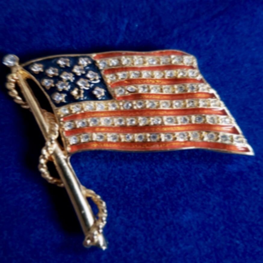Flag/Pin Brooch