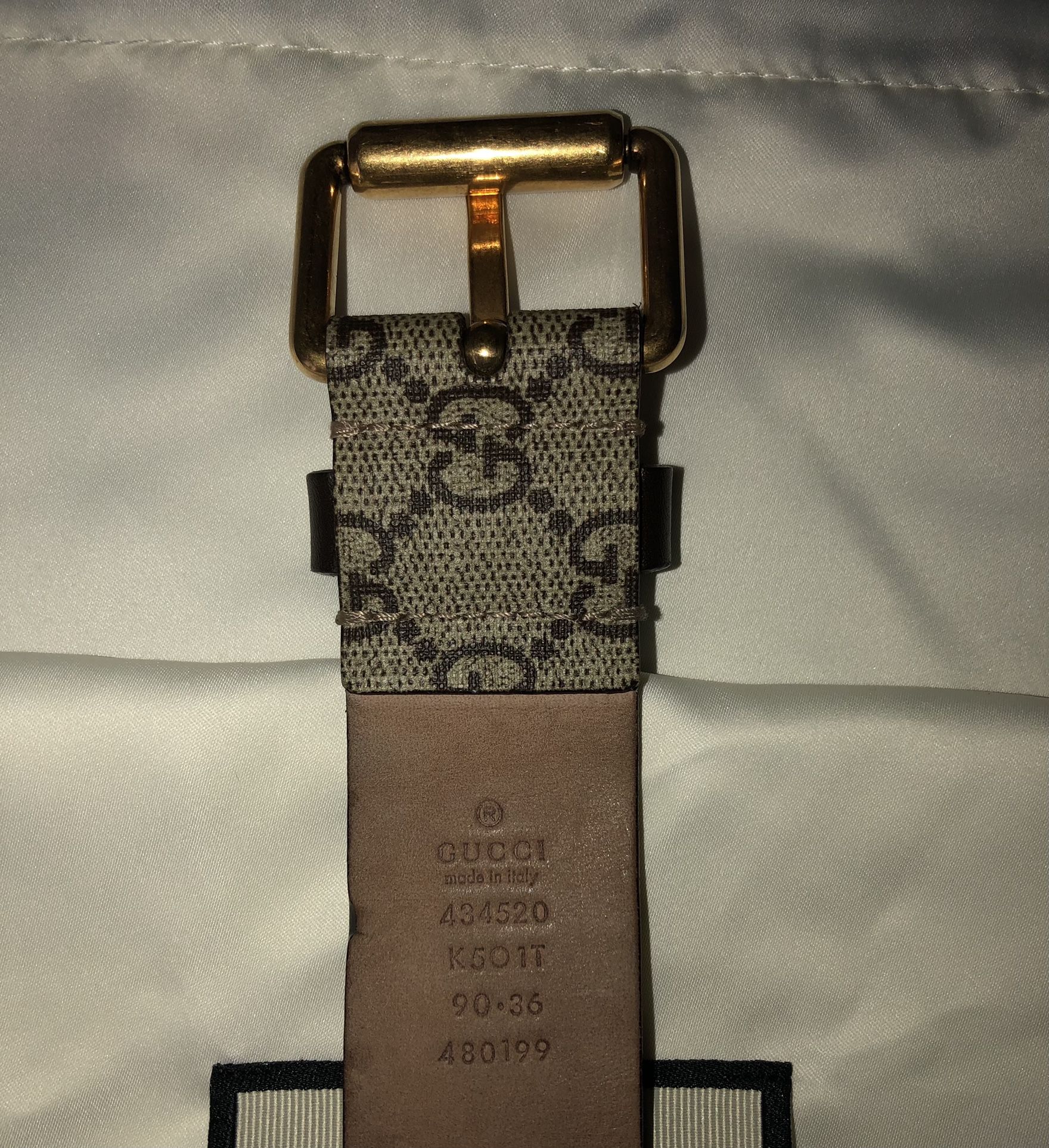 GUCCI Supreme belt with Kingsnake print