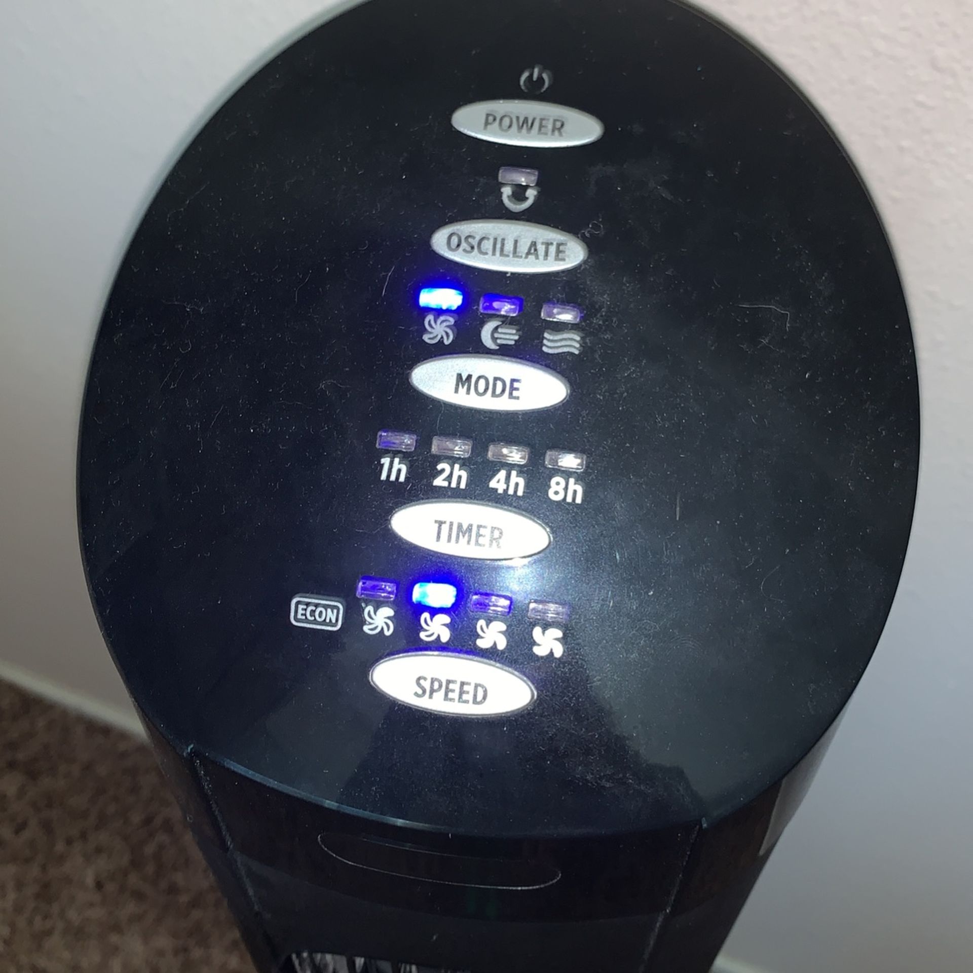Oscillate Fan