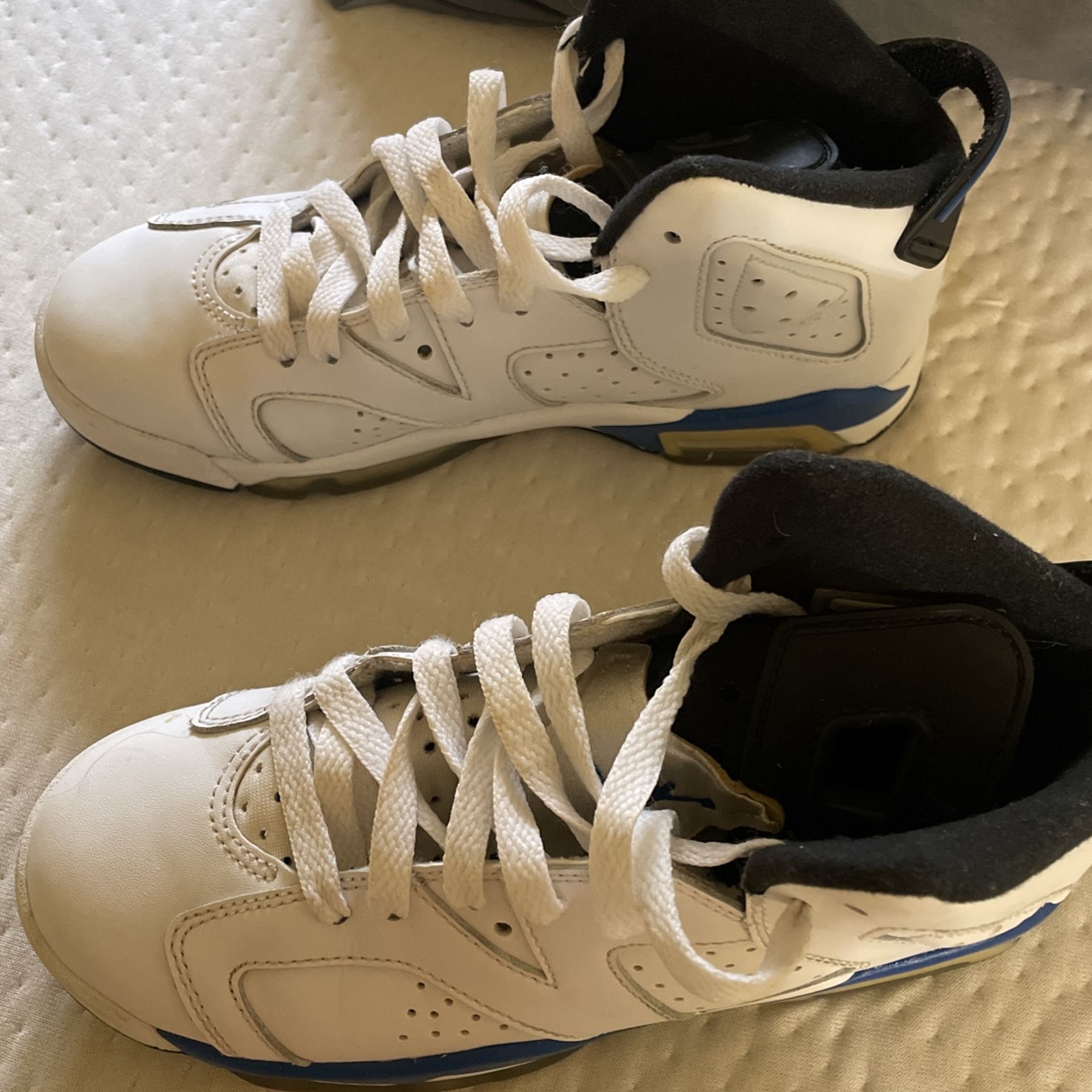 Retro Sport Jordan 6