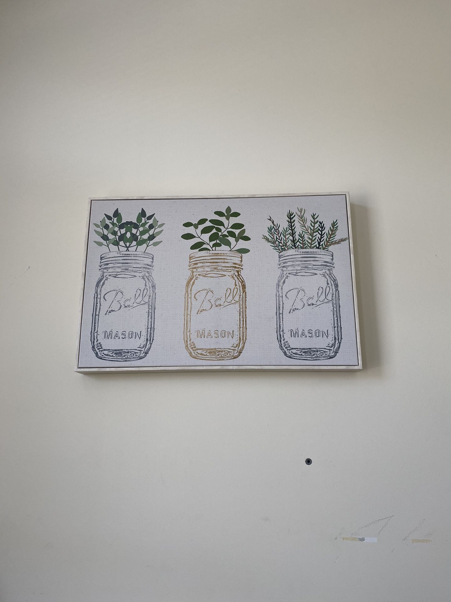 Mason Jar Canvas