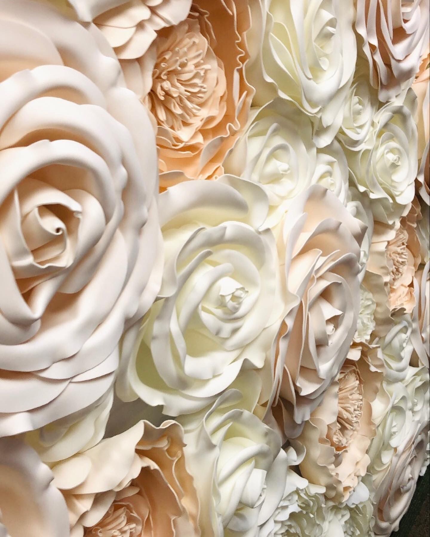 Giant Roses for Wall decor/Backdrop