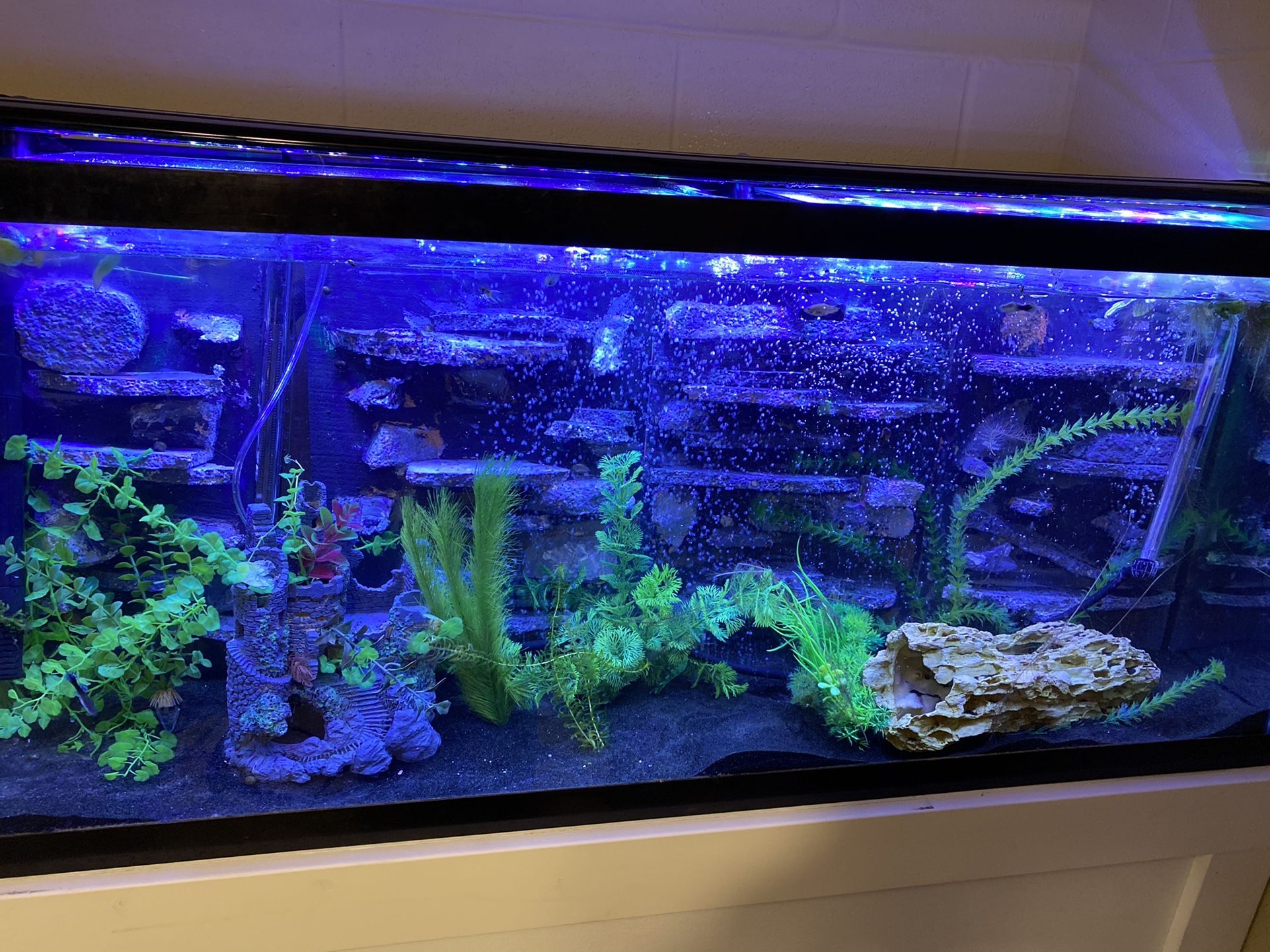 Aquariums And More