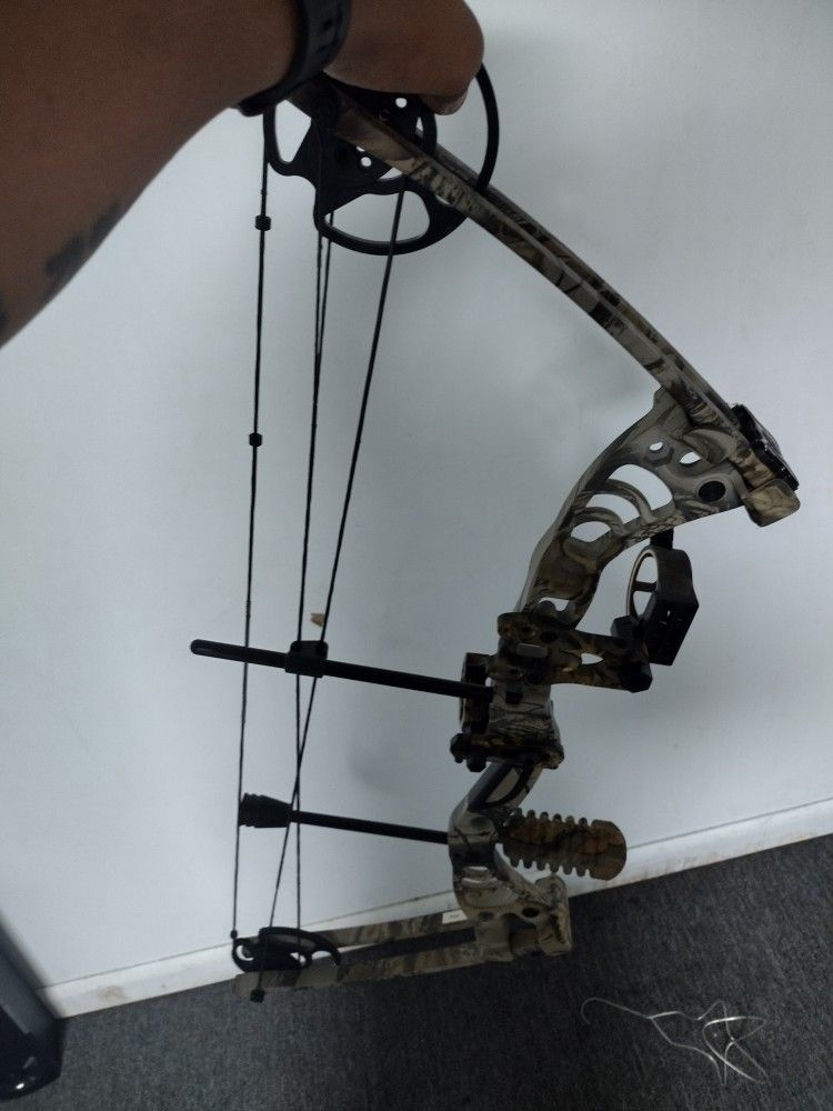 Compound Bow