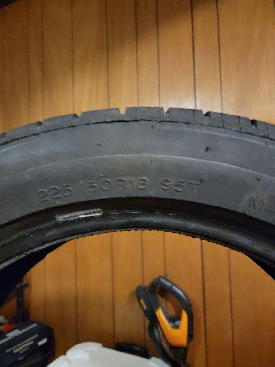 Tiger Paw Tires