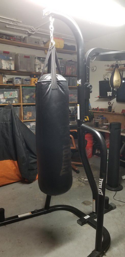 Punching  Bag and speed Bag Combo 