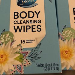 3 Secret Body Cleansing Wipes Thumbnail