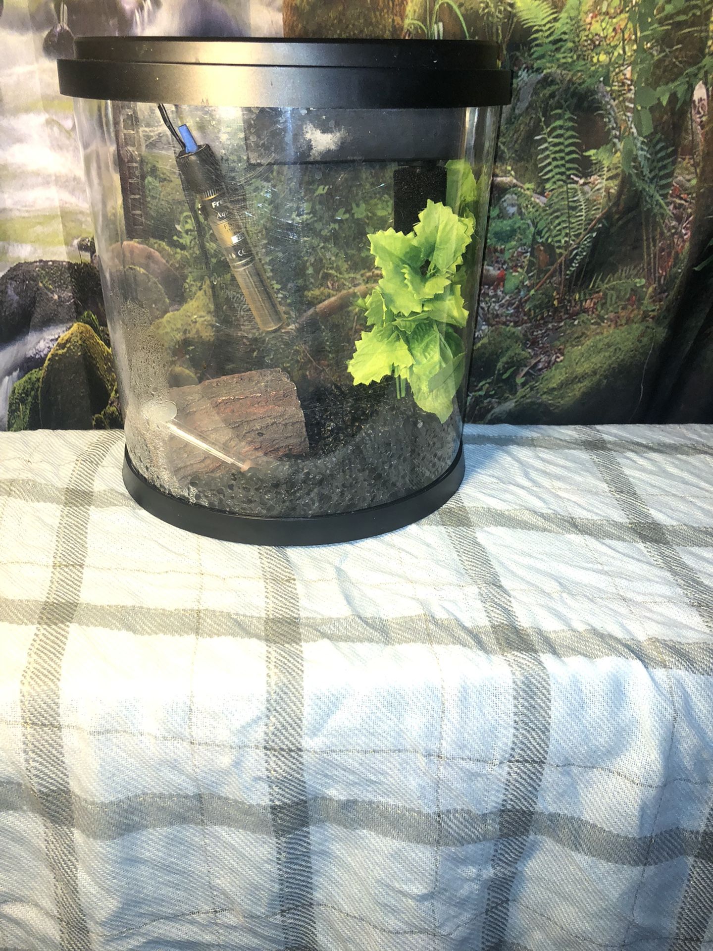 Fish Aquarium