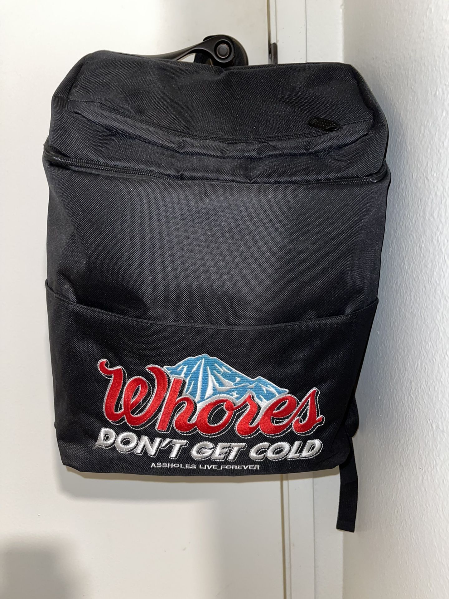 Backpack Cooler