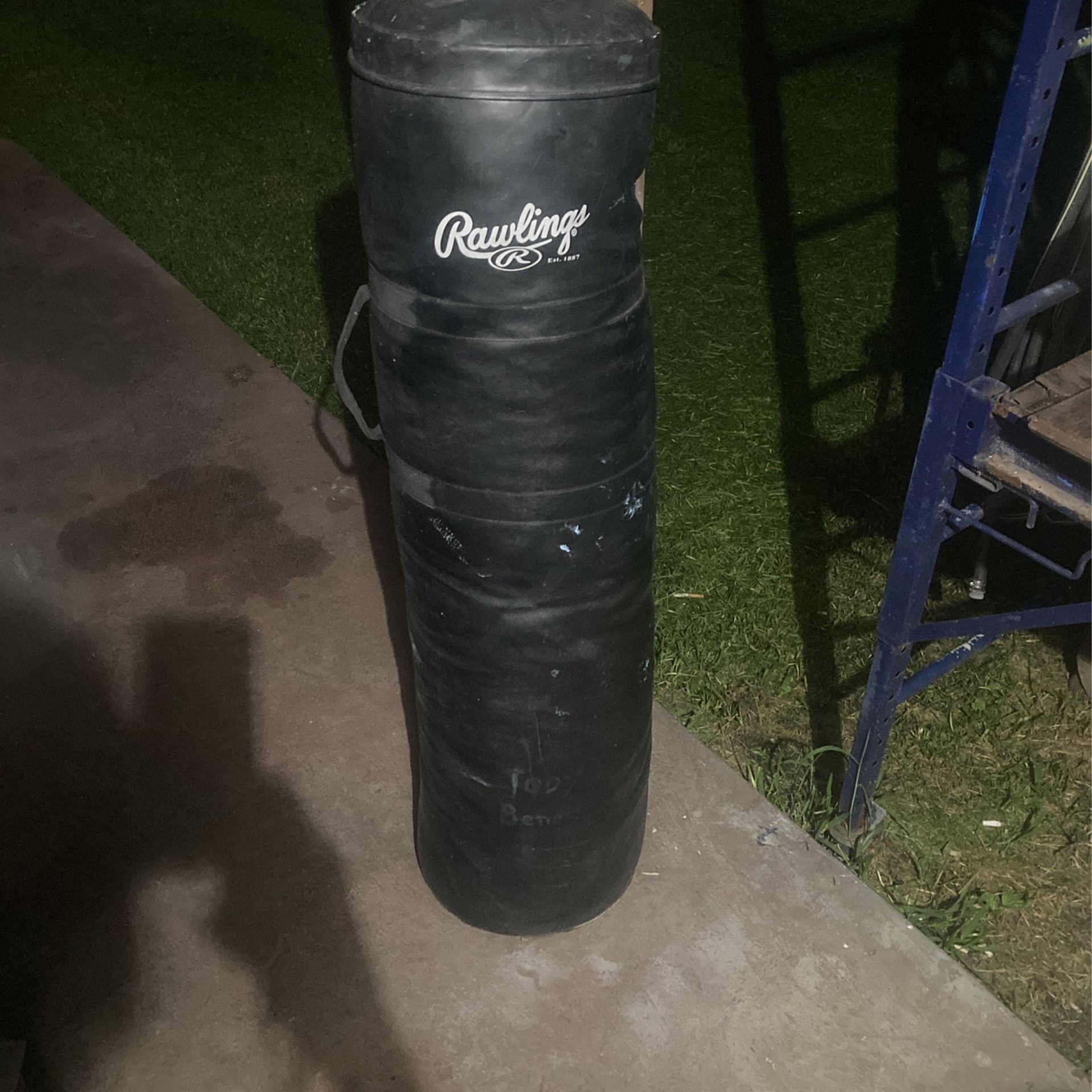 Rawlings punching bag
