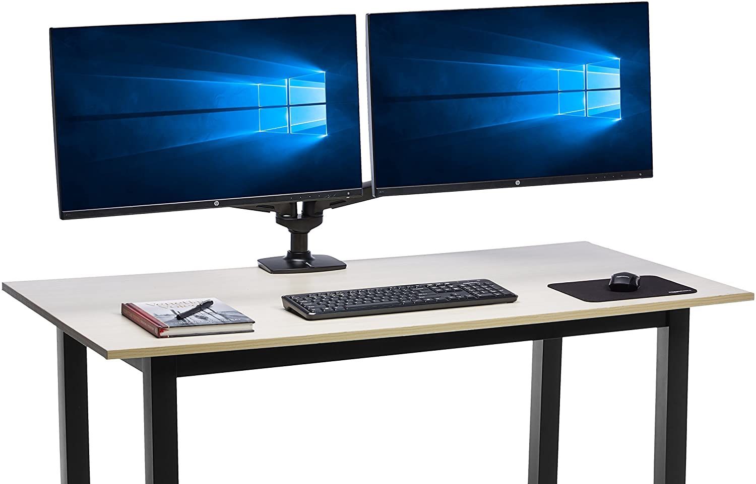 Dual 24" LG Monitors w/ Dual Monitor Mount!