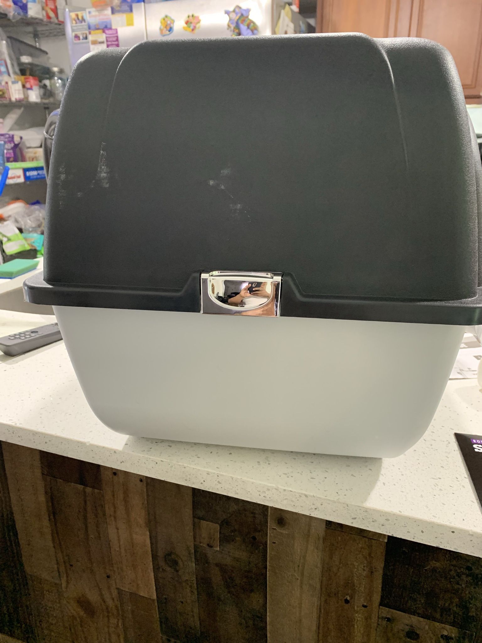 Self Cleaning Kitty Litter
