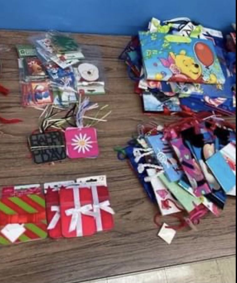 Lot of Assorted Christmas, Halloween And Any Occassion Bags- Over 200