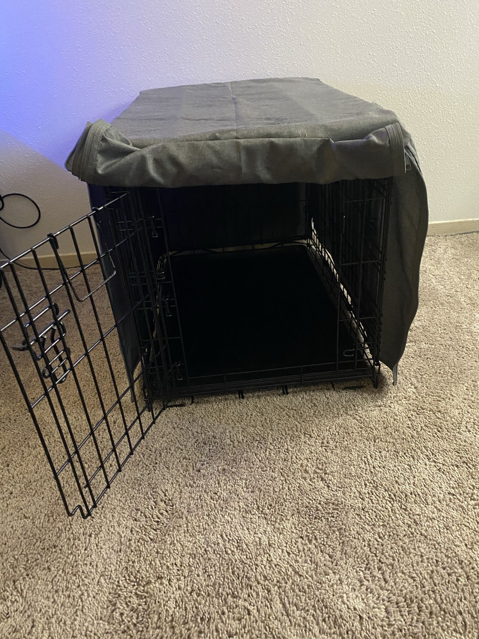 Dog Kennel Toys