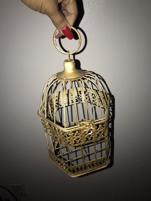 Bird cage for decoration