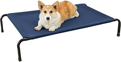 Elevated Small Dog Bed