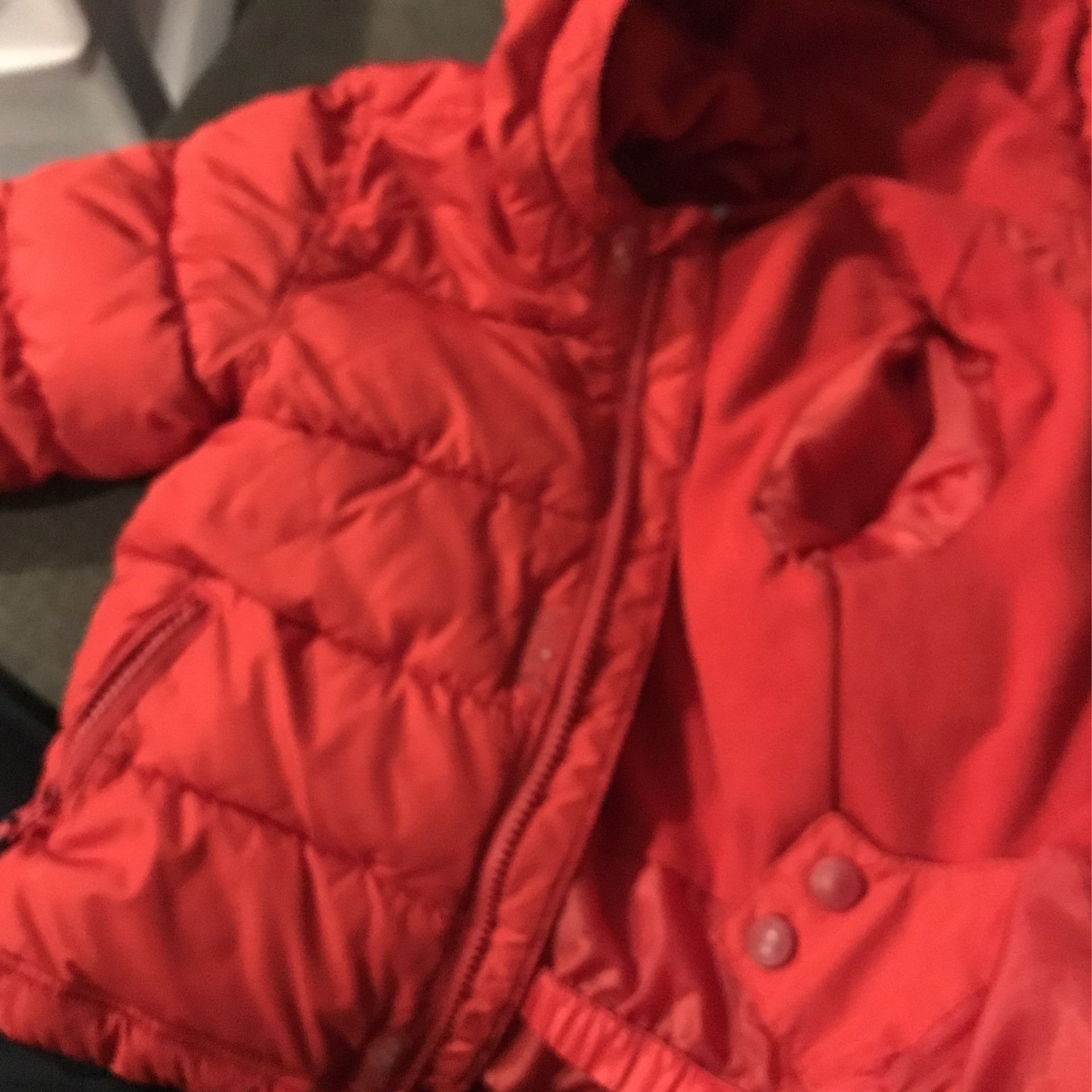 Toddler Winter Jacket