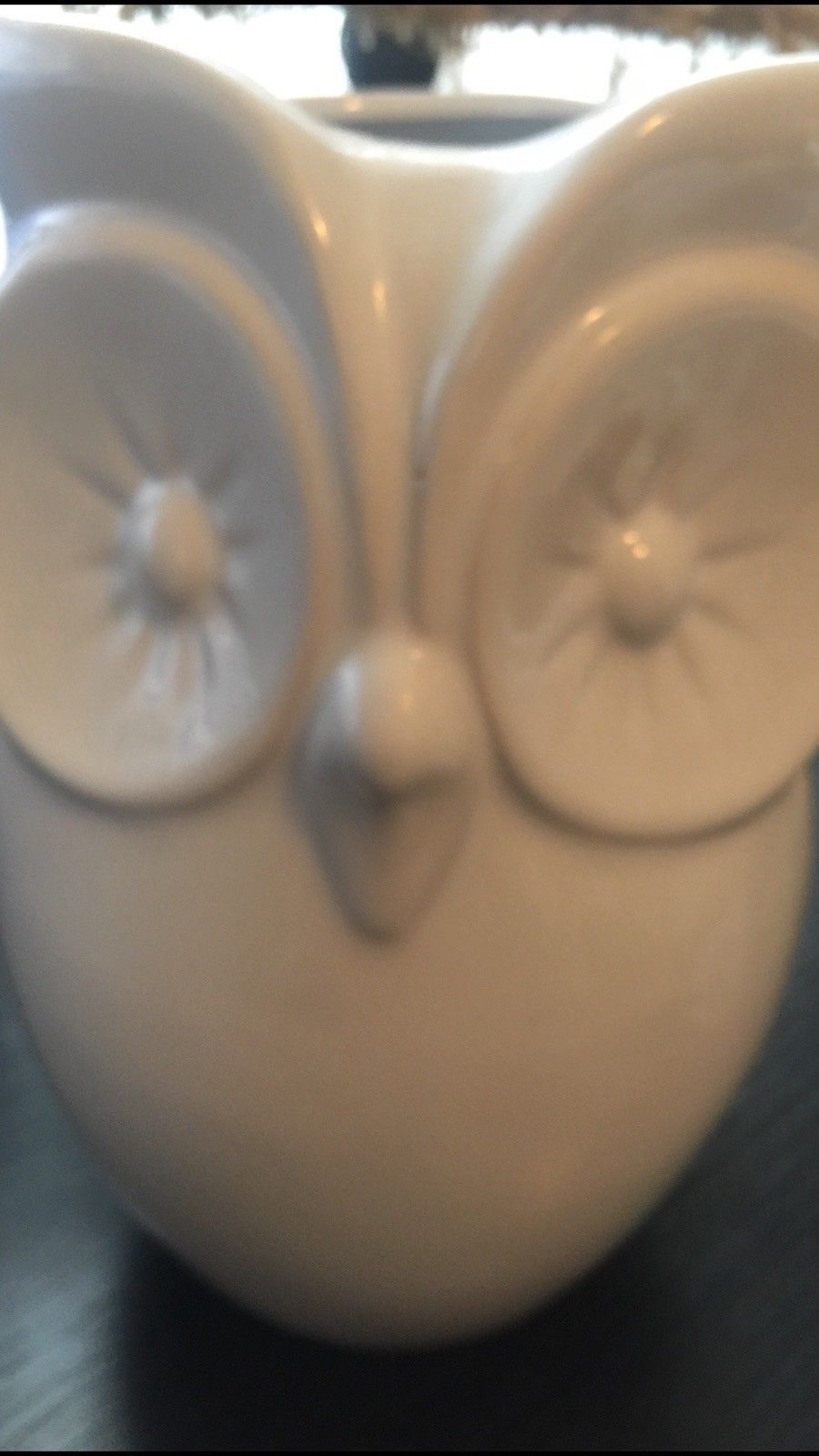Ceramic white^ Owl Adorable Vase ^Pristine Unique Decor ^