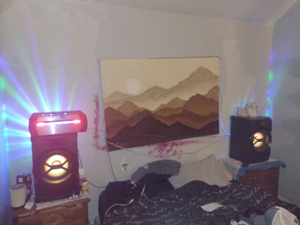 Sony High Powered Bluetooth System