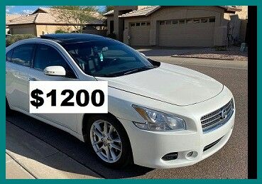 $1200 MAxima SV
