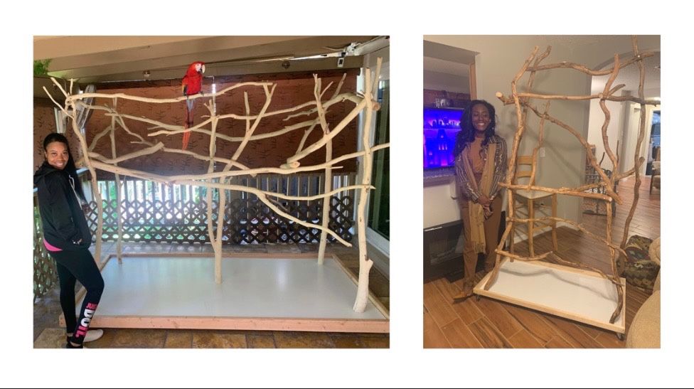 Bird Stand | Parrot Tree | Wooden Art | Play Jungle | Organic Wood | Macaw | Cockatoo | Cockatiel | Big Stand | Small Stand | Perches For Pet Bird
