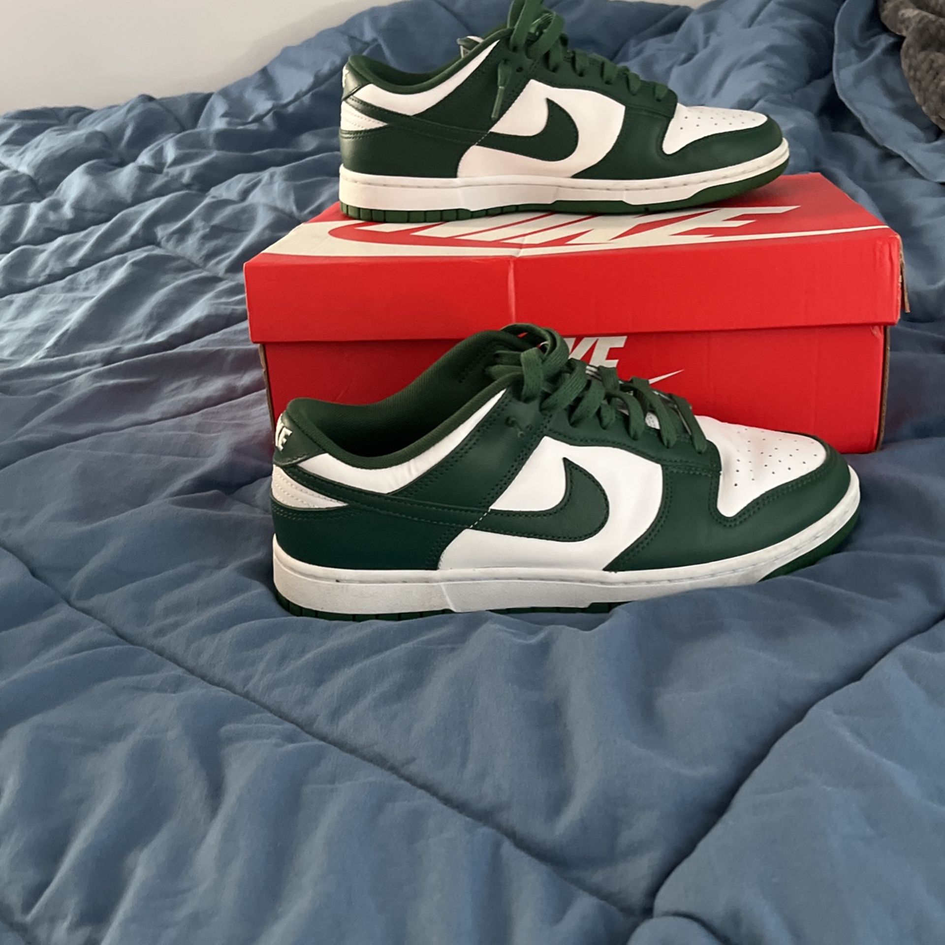 Michigan State Dunks Nike Dunk Low Retro Michigan State dunks