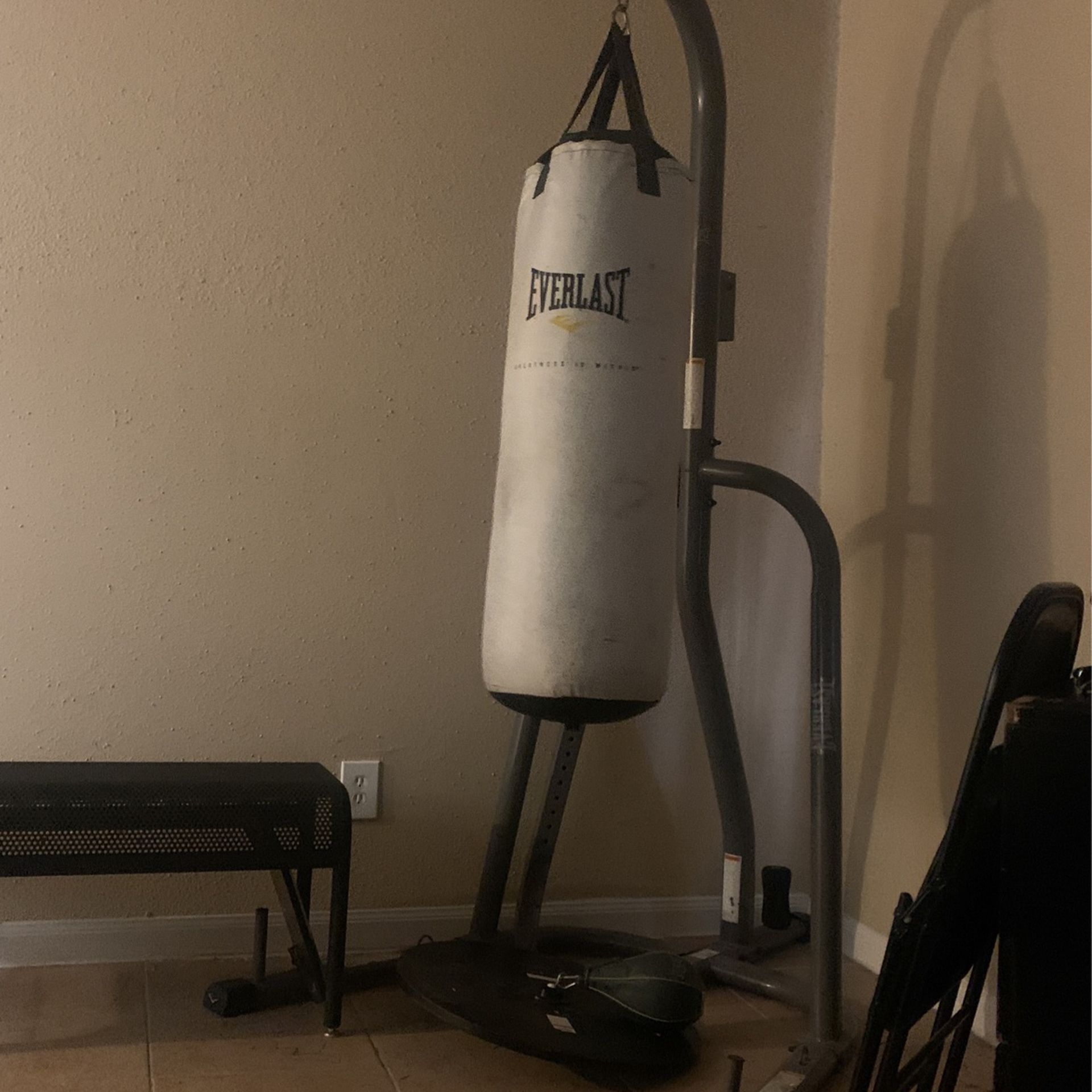 Punching bag with the speed bag 