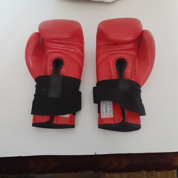 12 oz Ring Side Boxing Gloves