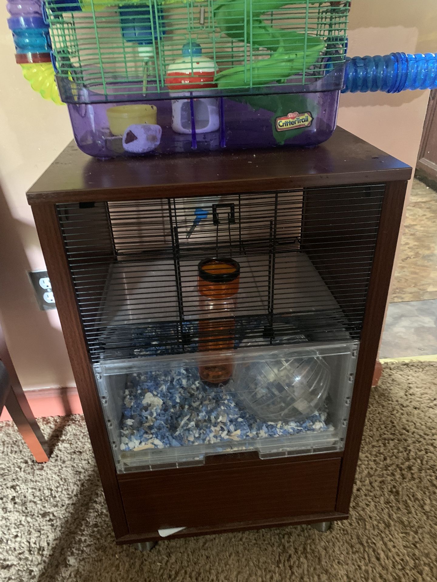 hamster cage and accessories