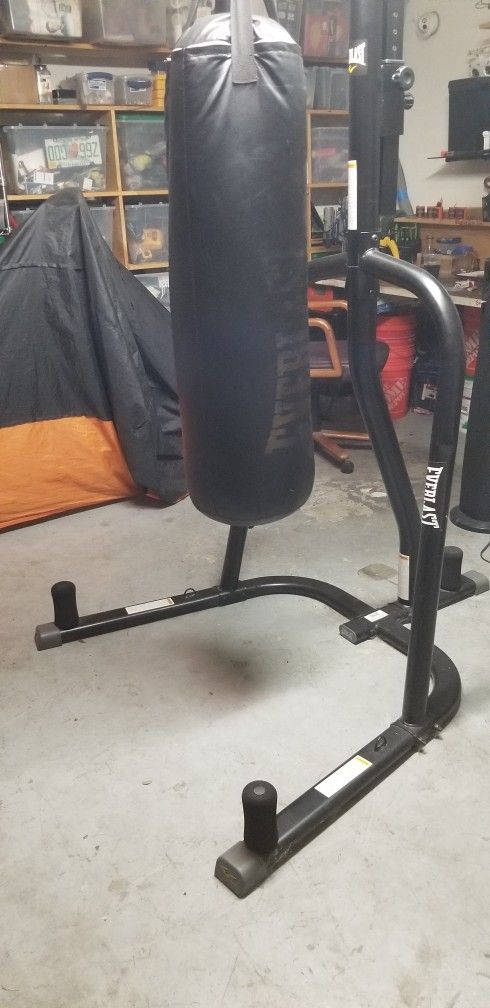 Punching Bag and speed Bag Combo