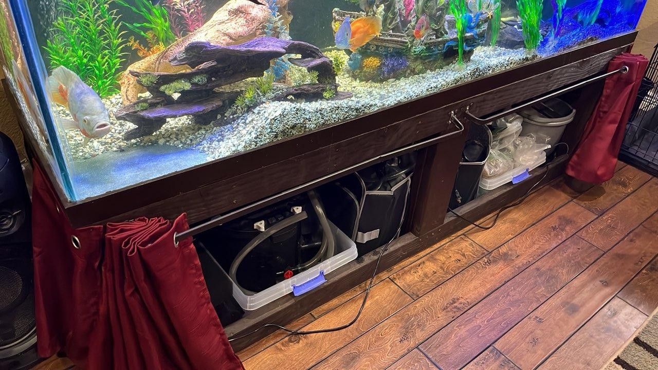 Custom 210 Gallon Fish Tank