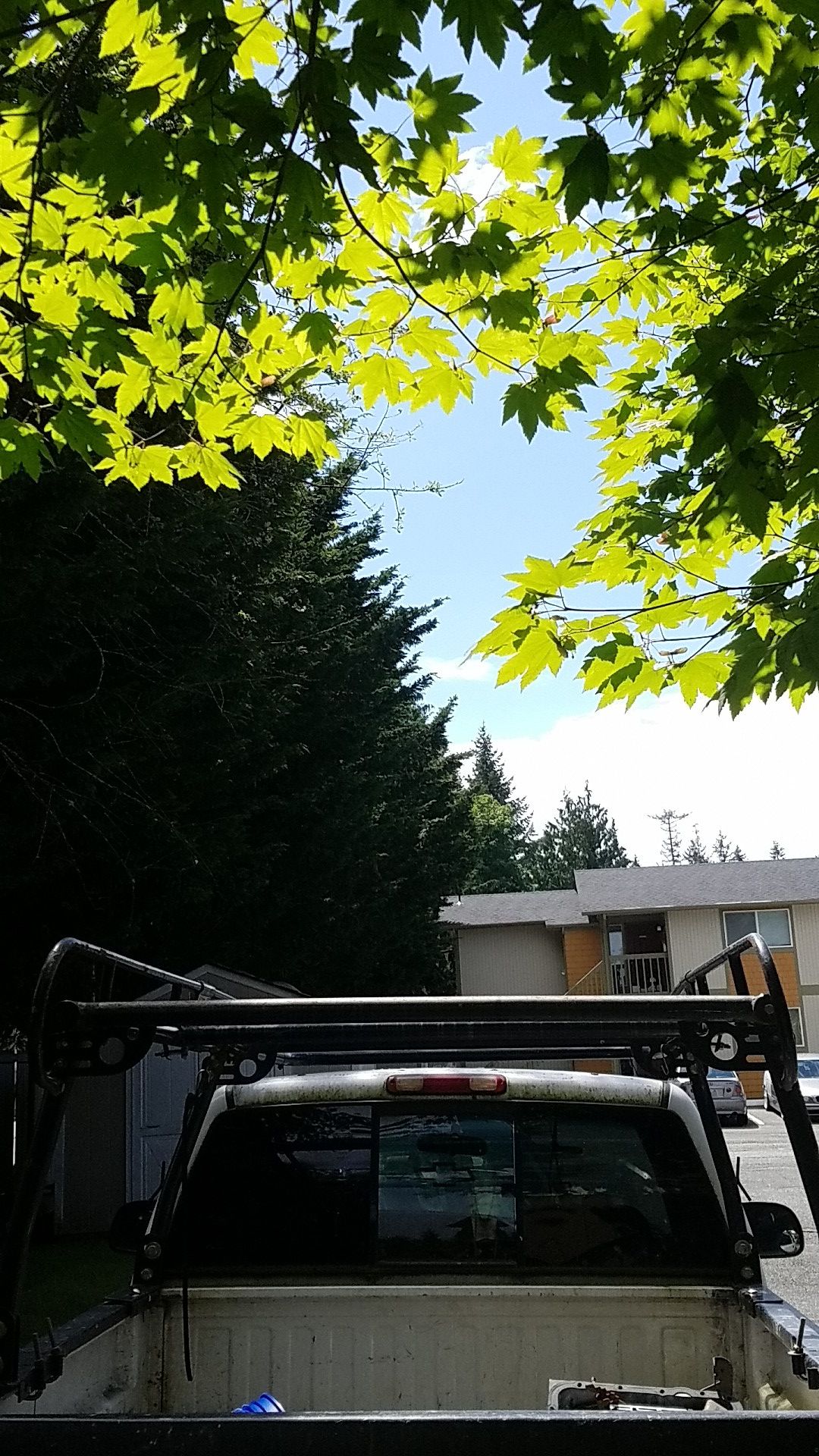 ladder rack