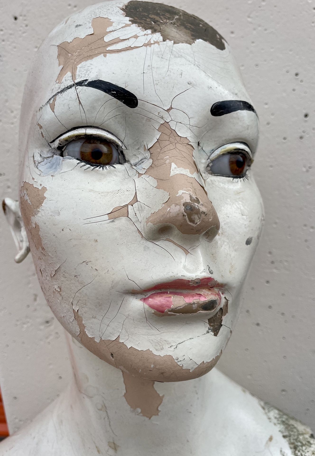 Silvia The Maniquin