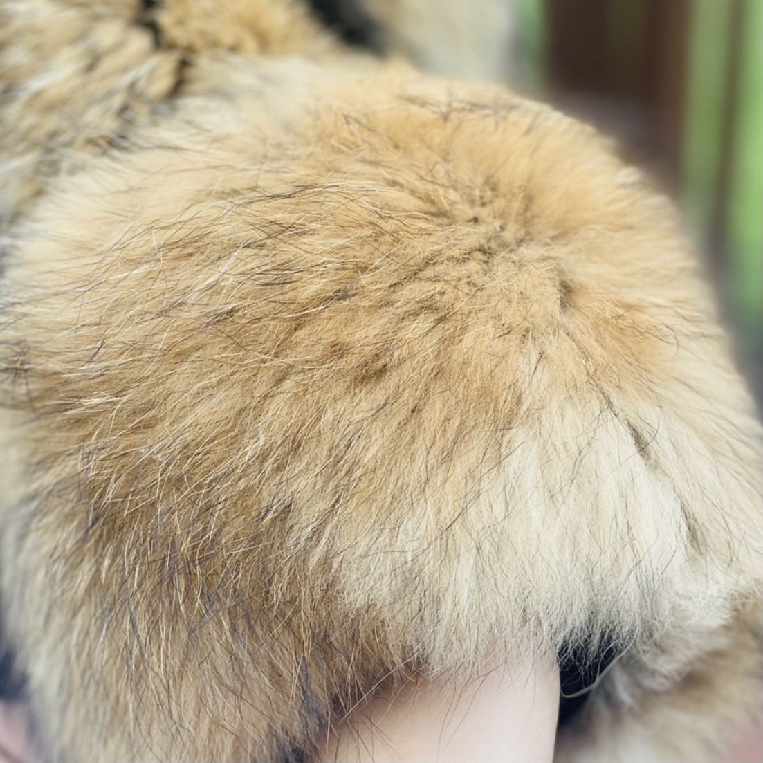 Genuine Raccoon Vest Jacket Crop Jacket Puffer Bomber Fur Coat Trench Long Sleeve