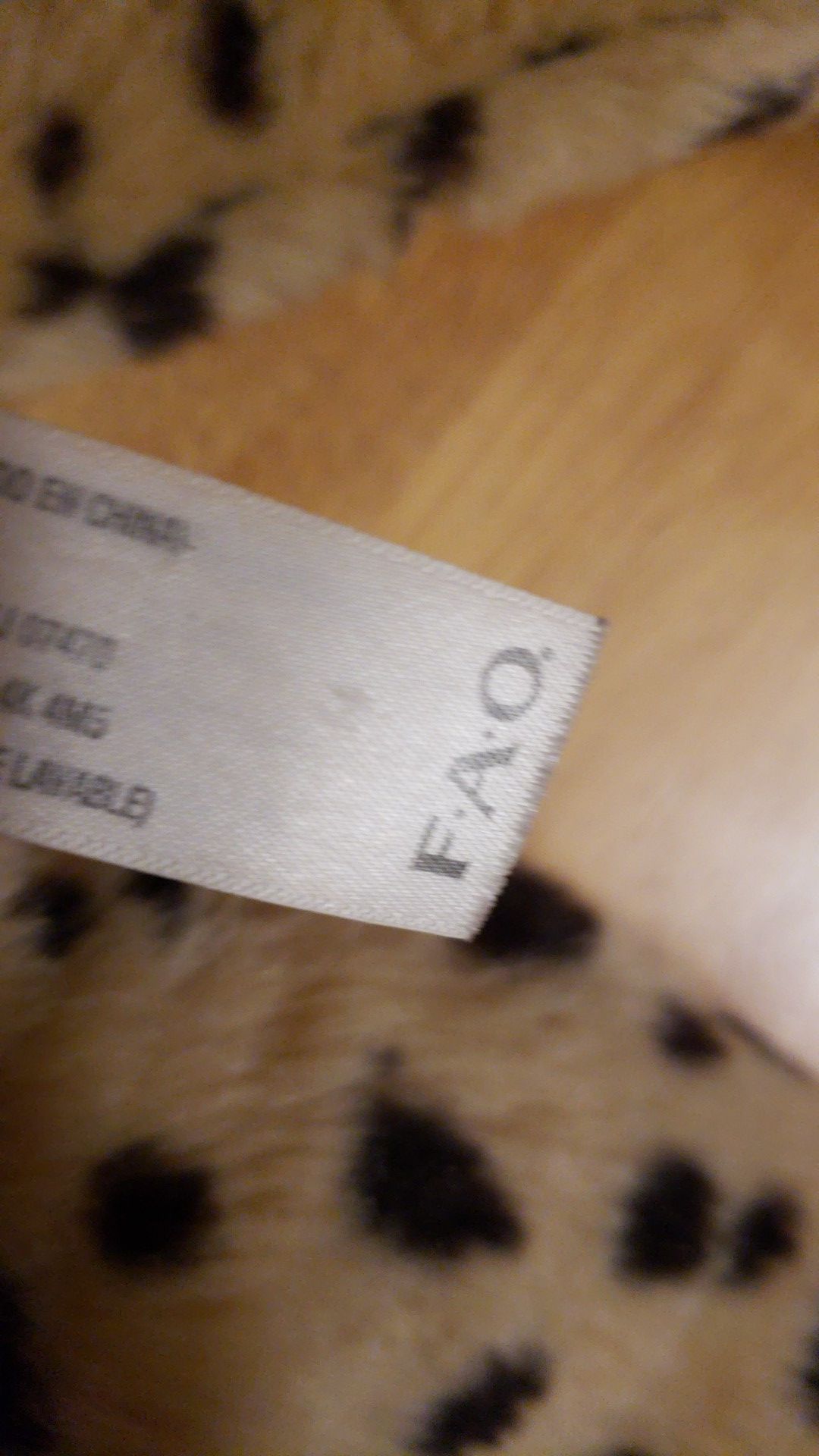 FAO cheetah