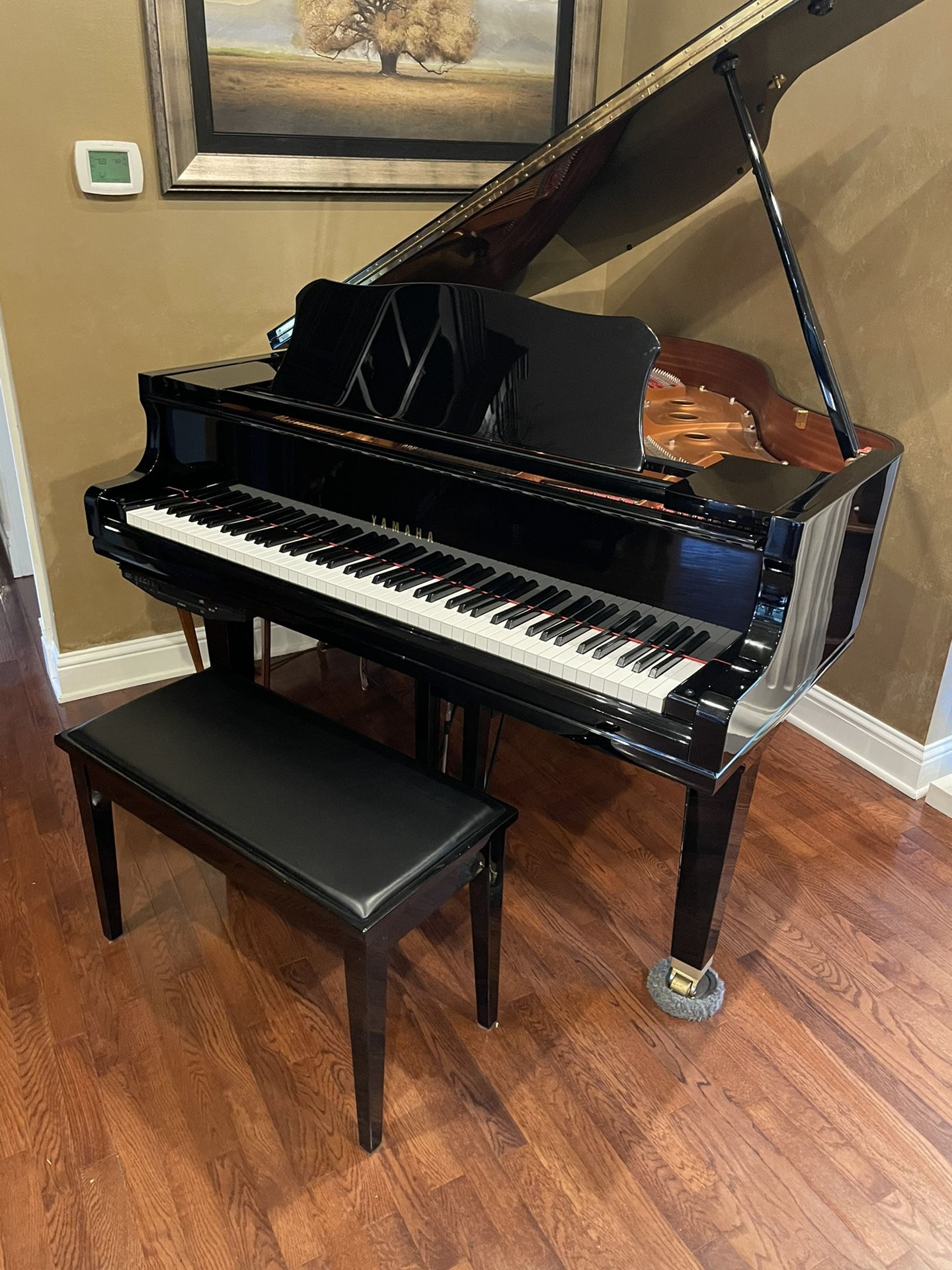 Yamaha Baby Grand Piano - With Auto Play