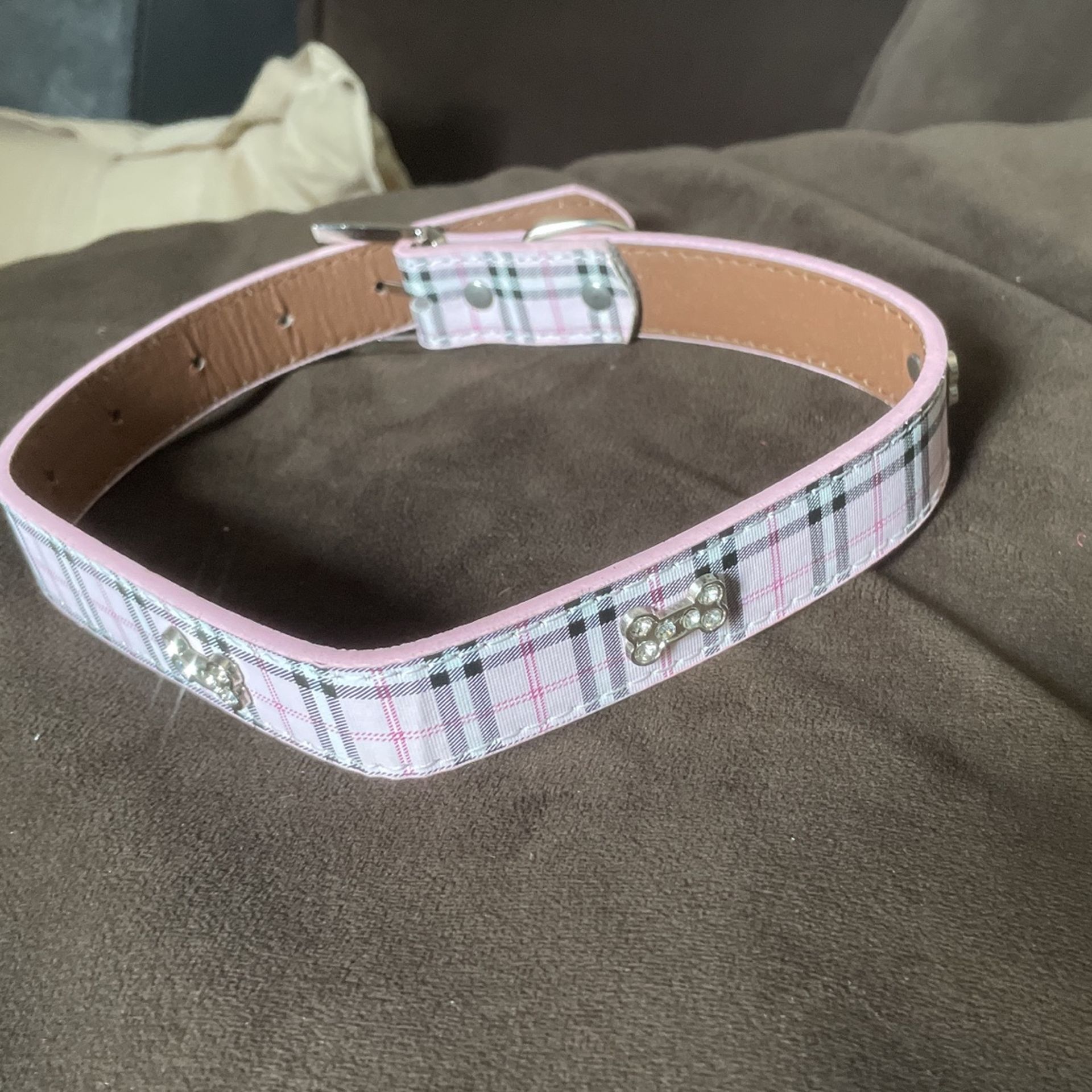 Pink Dog Collar