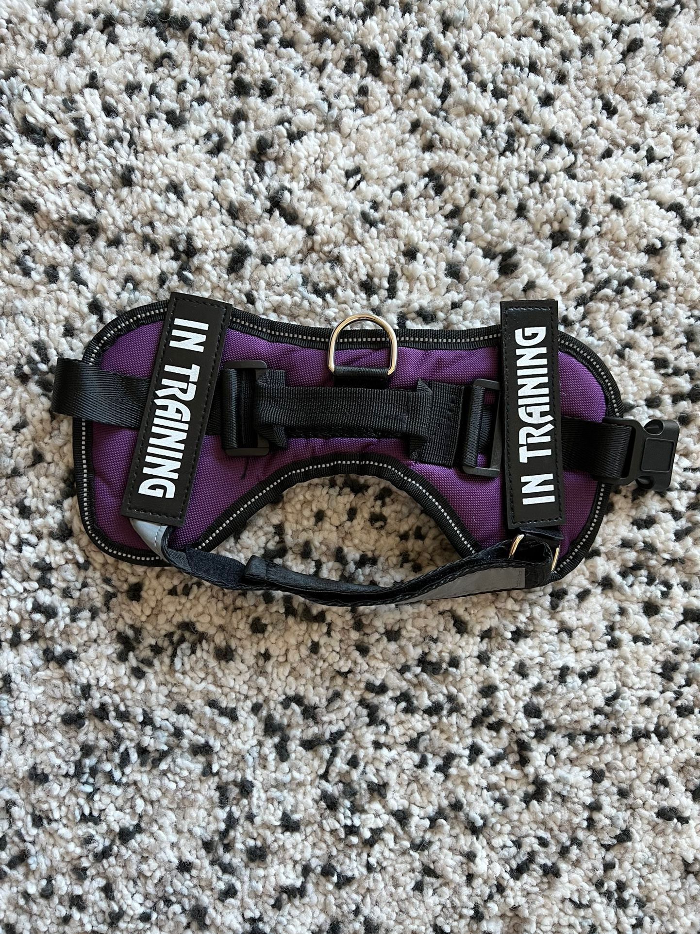 Purple Training Harness - Small